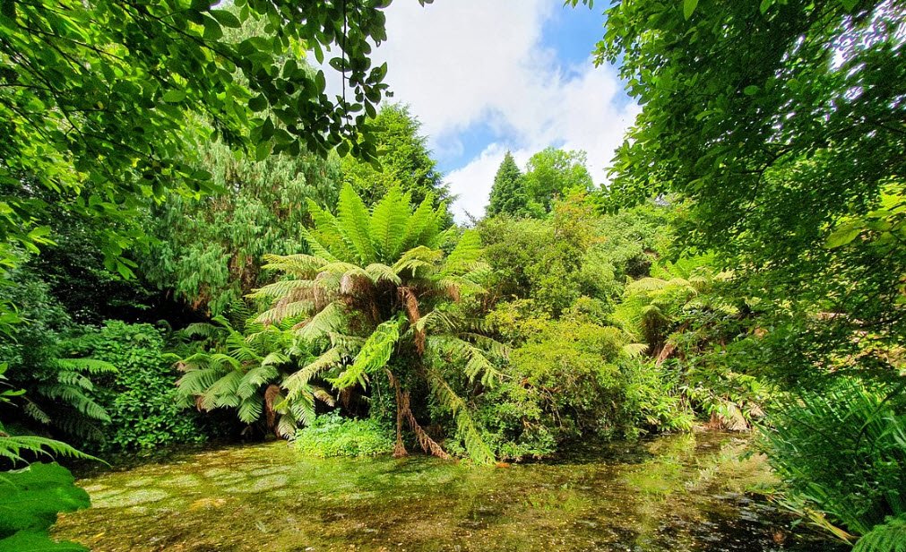 Penjerrick Garden, United Kingdom